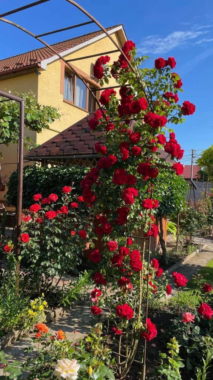Квітковий Двір Golubinoye Esterno foto