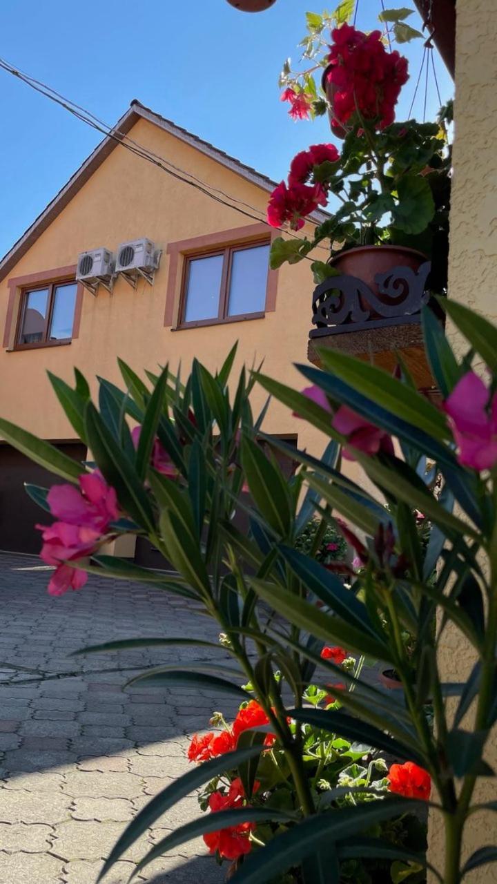 Квітковий Двір Golubinoye Esterno foto