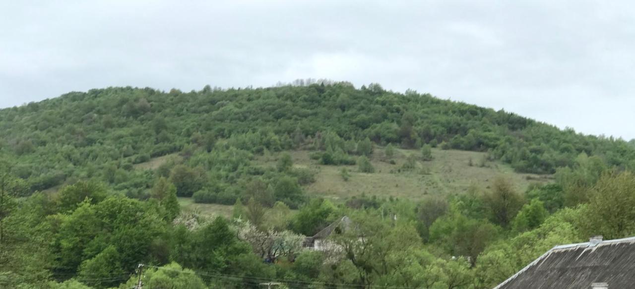 Квітковий Двір Golubinoye Esterno foto